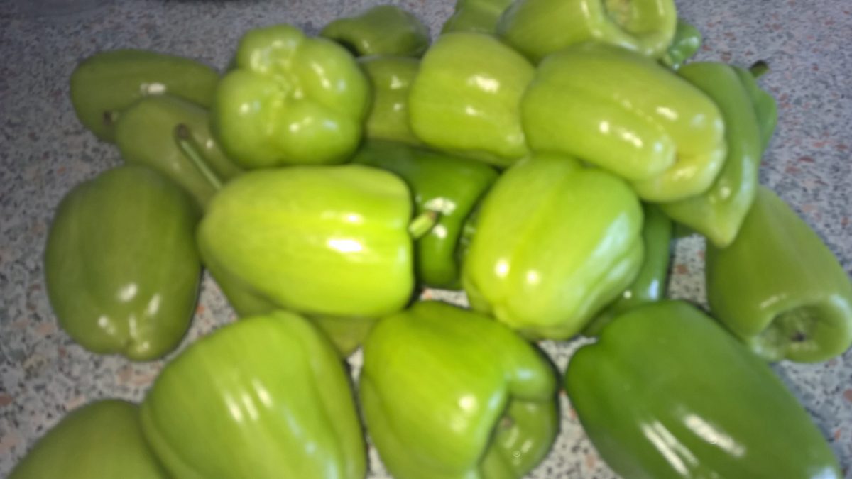 Gefüllte Paprika mal anders – Cousinamedea